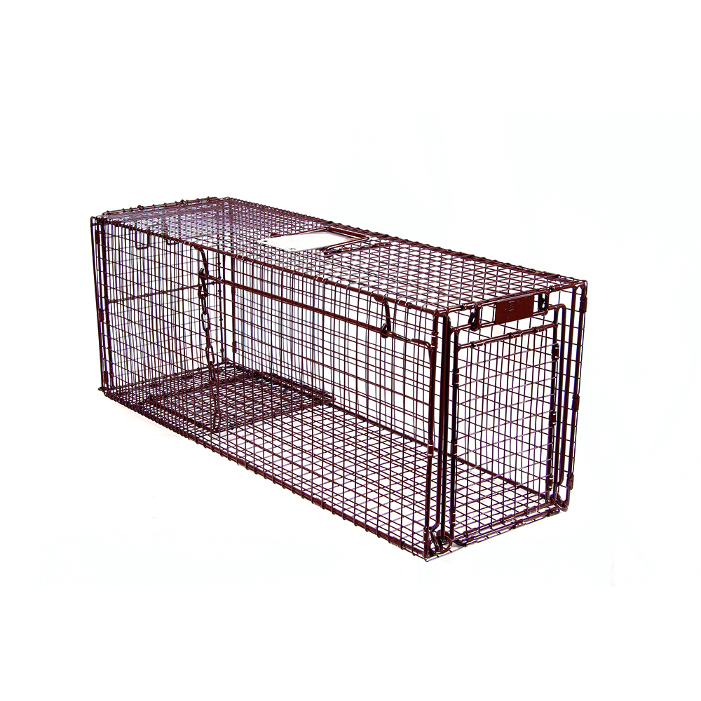 snappy snare for dogs